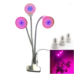 Grow Lights 3 Head LED Light Hydro Plant Lampe Cultivo Growbox Hydroponics for Intérieur Greenhouse Chultier Flower U26