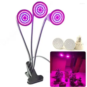 Cultiver des lumières 3 tête lumière LED intérieur hydroponique Cultivo Growbox serre éclairage de croissance serre hydro salle plante lampe V27