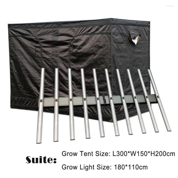 Grow Lights 300 150 200cm Ensemble de tente avec lumière LED 1000W 3000K 5000K mélange 660 nm 470 nm pour la croissance hydroponique de serre de la ferme intérieure