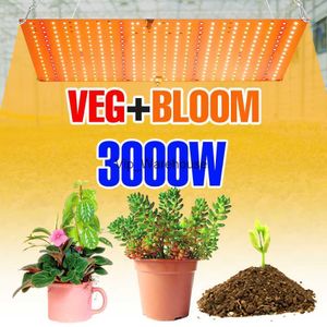 Grow Lights 3000W LED Grow Light Phyto Lámpara para plantas Bombilla de espectro completo Tablero cuántico Sistema de cultivo hidropónico Invernadero Flores Semillas YQ230926 YQ230926