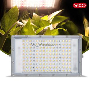 Lampes de culture 300W Samsung LED à spectre complet élèvent des lumières haute PPFD pour les graines Iindoor IR UV Phytolamp à spectre complet pour les plantes hydroponiques graines YQ230927