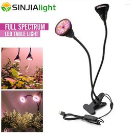 Grow Lights 30W LED Light Full Spectrum Dual Head Lámpara de mesa Bombilla de crecimiento Phytolamp Regulable Interior Flores Escritorio Plantas Growbox