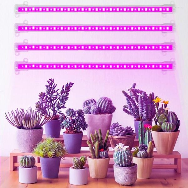 Grow Lights 50cm Bandes lumineuses LED d'intérieur 30cm Phytolamp pour plantes 4pcs Bars Full Spectrum Timer Phyto Lamp Hydroponic Dimmabe Bar