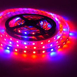 Kweeklampen 5m Phyto -lampen Volledig spectrum LED Strip Tape 12V 60leds/M 5050 Chip LED Fitolampy Grow Lights for Greenhouse Hydroponic Plant Bar P230413