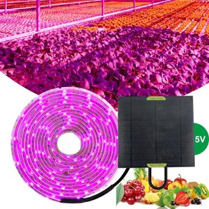 Kweeklichten 5m zonne -led volledige spectrum phyto lamp 5v licht strip 2835 kraal voor planten bloemen kas cultivo hydroponic