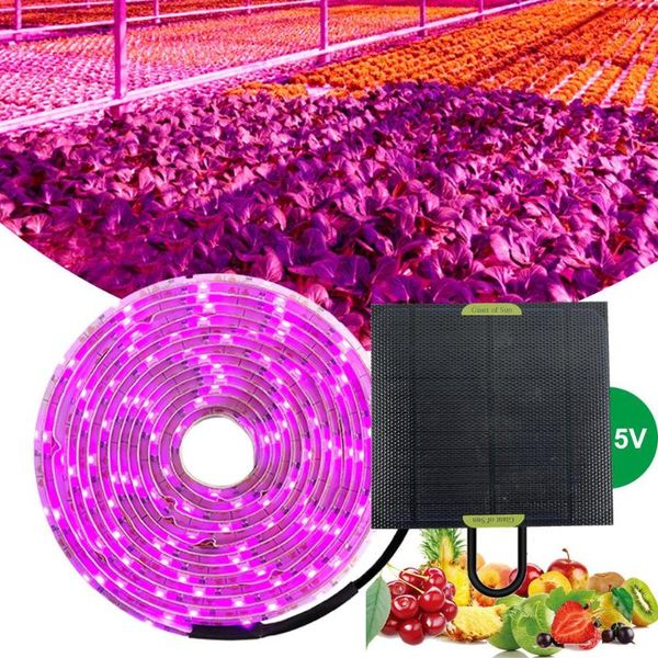 Luces de cultivo 5m LED Solar de espectro completo Phyto lámpara 5V tira de luz 2835 cuentas para plantas flores invernadero Cultivo hidropónico