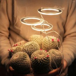 Cultiver des lumières 5V LED USB ange anneau plante lumière pour succulente spectre complet Phyto lampe intérieur fleur serre semis