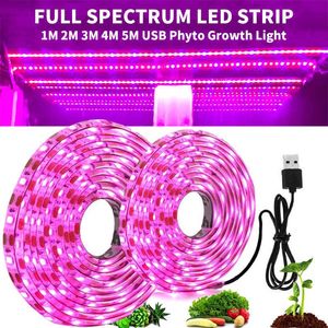 Kweeklampen 5V USB LED Plant Grow Licht Volledig spectrum 1-5m Plant Licht strip Fyto-lamp voor kasbloem Zaailing Tent Hydroponic P230413