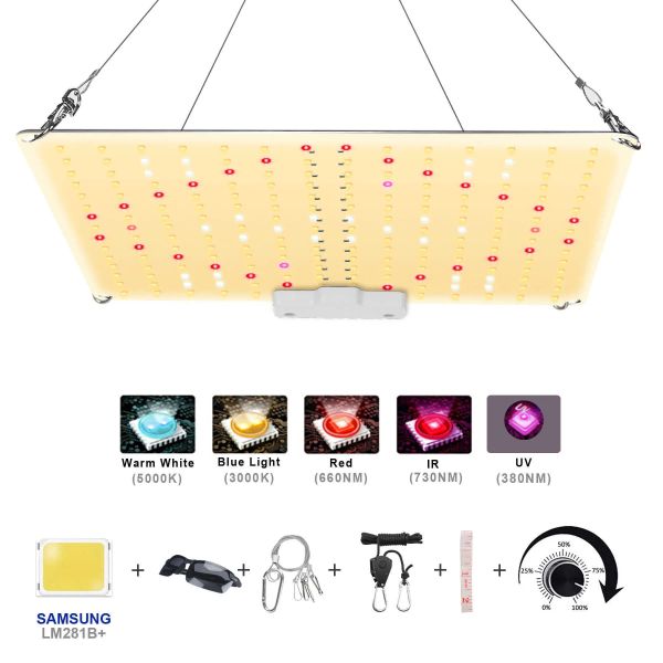 Grow Lights 600W 800W LED Grow Light avec Samsung Diode Full Spectrum Silent Quantum Board utilisé pour la tente de serre intérieure hydroponique