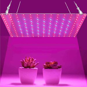 Grow Lights 81/169 LEDs 2000W 3000W Intérieur LED Grow Light Plant Growing Lamp Rouge Bleu Spectre complet pour plante hydroponique d'intérieur P230413