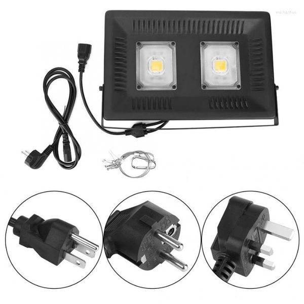 Cultiver des lumières AC110V/220V 100W intérieur LED plantes croissante lumière spectre complet COB plante GrowGrow