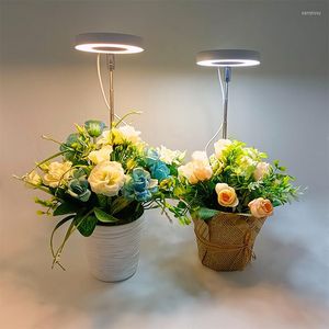 Grow Lights Angel Ring Charnu Fill Light USB Coloration Full Spectrum LED Flower Bonsai Plant Growth