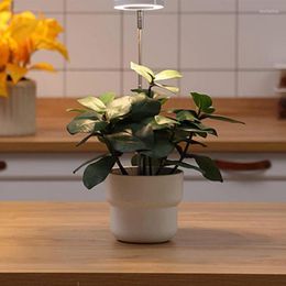 Grow Lights Angel Ring Growing para plantas de interior USB regulable Full Spectrum Halo Plant Lamp con temporizador Flower Potted Seed Light