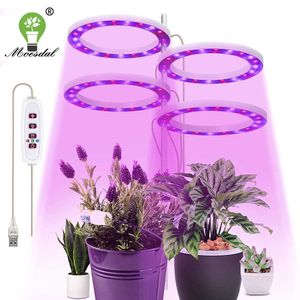 Cultivez des lumières Annulaire LED Plante Lumière Petite Croissance Lumière USB Timing Gradation Adapté pour Plante D'intérieur En Pot Succulent Fish Tank Lumière P230413