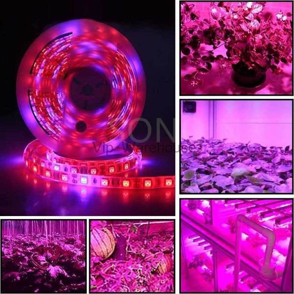 Lampes de culture DC 12V LED élèvent la lumière à spectre complet 5m 300LED s plante lumière élèvent la lampe phyto de bande de LED pour la boîte de tente de culture de semis de fleur de légume YQ230926