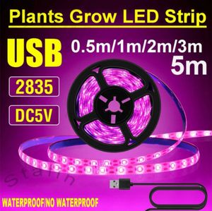 Lampes de culture DC 5V LED élèvent la lumière à spectre complet USB élèvent la bande lumineuse 2835 SMD phytolampes lumière de croissance des plantes pour la culture hydroponique à effet de serre P230413