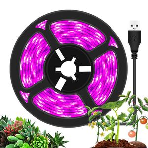 Grow Lights DC 5V USB LED Grow Light 0.5-5m SMD 2835 LED Bande Plante Rose Clair Bande Phyto Lampe pour Légumes Fleur Semis Grow Tent Box P230413