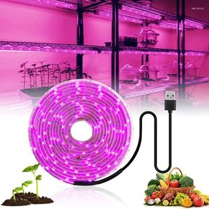 Luces de cultivo DC 5V USB LED LED Spectrum COMPLETO 1-5m Lámpara de planta de 1-5m Lámpara de fito para la tienda de plántulas de flores vegetales