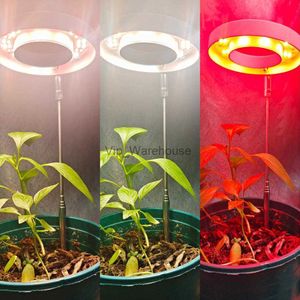 Kweeklampen DC5V USB LED-lamp met volledig spectrum voor kamerplanten Zaailingen Thuis Bloemlicht Groeilicht Phytolamp Voor planten Bloem bloei Rood YQ230926