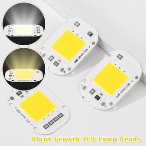 Kweeklichten diy spotlight 20w 30w 50w ip65 smart ic lamp bead cob gloeilamp chip buiten