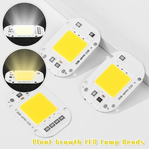 Cultiver des lumières bricolage projecteur 20W 30W 50W IP65 Smart IC lampe perle COB ampoule puce extérieure