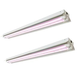 GROEP LICTEN DUAL-END GEDRUIMDE MEEMERDE MOULSENDE TUBE VERVANGING BI-PIN G13 BASE LED PLANT GROWLight 4ft voor kas planten kweekplekplug en speel crestech888