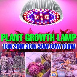 Grow Lights E27 Full Spectrum LED Grow Light 220V Phyto Lampe Pour Plantes E14 Semis Ampoule 18W 28W 30W 50W 80W 100W LED Veg Flower Fitolampy P230413