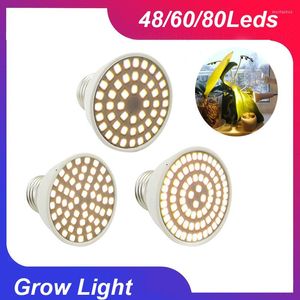 Kweeklampen E27 Socket LED -lamp Lamp Spotlight 48 60 80leds Lampara Greenhouse Home Phytolamp Plant Flower Light