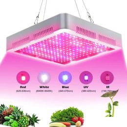 Luces de cultivo FL Spectrum Light 2000W Interruptor único de doble chip para tiendas Ered Casas verdes Plantas Sistemas hidropónicos Vegetales Flor de interior DHQZT