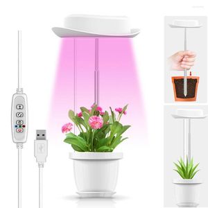 Cultiver des lumières FTOYIN lumière LED spectre complet USB Charge Phytolamp pour plantes gradation synchronisation plante fleur légume semis