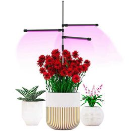 Kweeklichten Volledig groeispectrum Phytolamp indoor teeltplant Bloeit USB Phyto Lamp Horticultural Creative Led Grow Light Groothandel P230413