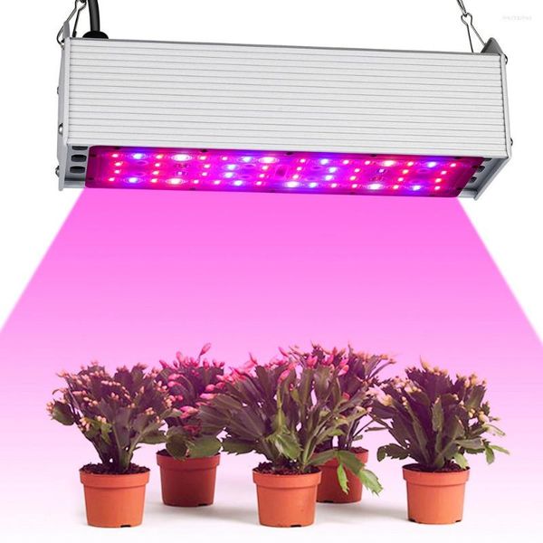 Élèvent des lumières spectre complet 150W lumière LED UV IR pour système hydroponique intérieur serre tente fleur légume lampes de culture