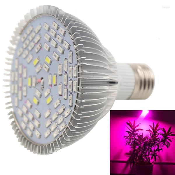 Grow Lights Full Spectrum 78 Led Light 25W Rojo Azul UV IR Lámpara de cultivo para hidroponía Flores Plantas Verduras