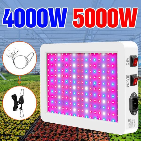 Luces de cultivo espectro completo Led 220V lámpara Phyto Light hidropónico UV crecimiento invernadero semillas de flores iluminación interior 4000W 5000WGrow