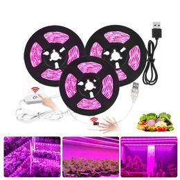 Kweeklampen Volledig spectrum LED GROW LAMP USB LED PLANT GROEISTRIP 2835 SMD 0,5 m 1m 2m Fitolampy Grow Lights for indoor Plant Flower Seedling P230413