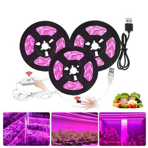 Grow Lights Full Spectrum LED Grow Lamp USB LED Plant Grow Strip 2835 SMD 0.5m 1m 2m Fitolampy Grow Lights pour plante d'intérieur Fleur Semis P230413