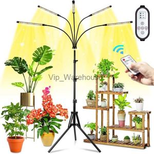 Cultivez des lumières LED à spectre complet élèvent la lumière DC 5V USB Phyto lampes synchronisation télécommande trépied support plante lumière pour semis de fleurs d'intérieur YQ230927