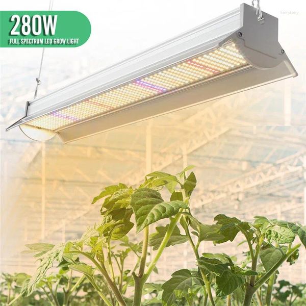 Luces de cultivo Spectrum LED LED LED 280 W Lámparas Phyto Lámparas Barra de lámpara Plantas hidropónicas Crecimiento Cálido blanco rojo IR UV