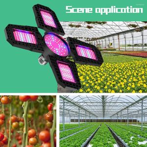 Kweeklichten Volledig spectrum LED -licht E27 Phytolamp -lamp voor planten Vervormbare vouwlamp Indoor Tent Groentezaadjes