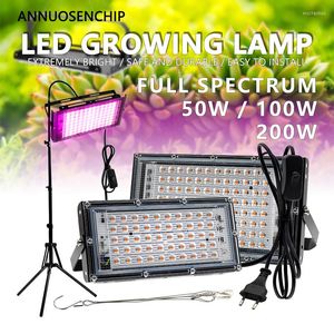 Grow Lights Full Spectrum LED Plant Light 50W 100W 200W AC 220V Boîtier en aluminium Trépied Légumes Fruits Fleur Intérieur Serre Remplir Lampe