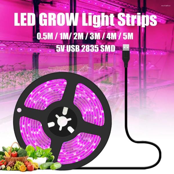 Cultiver des lumières spectre complet Phyto lampe USB 5V lumière LED bande bande 2835 SMD plante fleur intérieur serre graines Cultivo hydroponique