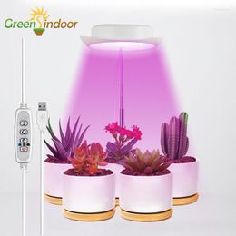 Grow Lights GREENSINDOOR Culture Intérieur Rouge Bleu Minuterie Lumière USB Phytolamp Pour Plante Fleur Succulente Lampe De Croissance Avec Support