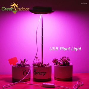 Grow Lights GREENSINDOOR Usine USB avec croissance de la minuterie de support pour le kit en pot Lampes de culture rouges Culture d'intérieur sans souci