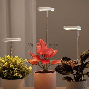 Lampes de culture Lampe de culture LED à spectre complet pour plantes d'intérieur Lampe de croissance à intensité variable réglable en hauteur avec minuterie pour petites plantes YQ230926