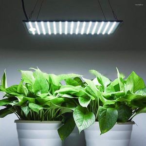 Kweeklichten groeien lampen 225 LED-licht AC85-265V Volledig spectrum Plantenverlichting Fitolampy voor planten bloemen Zaailing teelt teelt