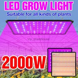 Kweeklampen Groeilicht LED Volledig spectrum Phyto Veg Lamp 220V Plant Grow Panel Lamp LED Hydrocultuur Bloemenkweektent Box 2000W Fitolampy YQ230927