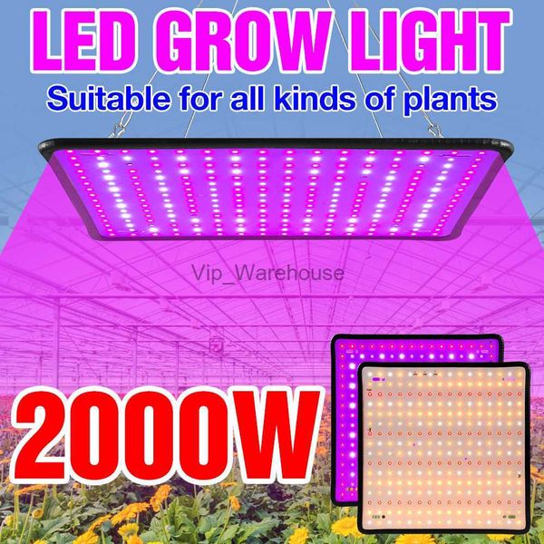 Luces de crecimiento Luz de crecimiento LED Lámpara Phyto Veg de espectro completo 220 V Lámpara de panel de cultivo de plantas LED Hidropónico Caja de tienda de cultivo de flores 2000 W Fitolampy YQ230927