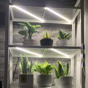 Grow Lights Intérieur Phytolamp Pour Orchidées Plantes Minuterie Lumière Bandes Phyto Lampe Semis Maison Spectre Complet 5V Blanc LED BarsGrow