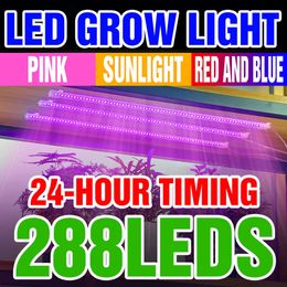 Kweeklampen Indoor Phytolamp voor planten Full Spectrum Led Grow Lamp Hydroponic Phyto Light USB-groeilicht met timer Dimbaar Fitolampy P230413