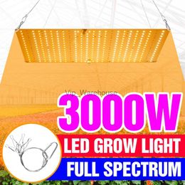 Cultivez des lumières Phytolamp d'intérieur pour les plantes LED lumière de croissance Phyto lampe spectre complet 1500W 2000W 3000W lumières hydroponiques graines de fleurs poussent la boîte YQ230927